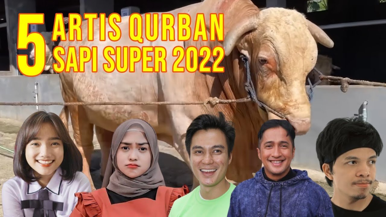 
                                 Sapi-Qurban-Artis-2022-Super-Jumbo-Terbesar